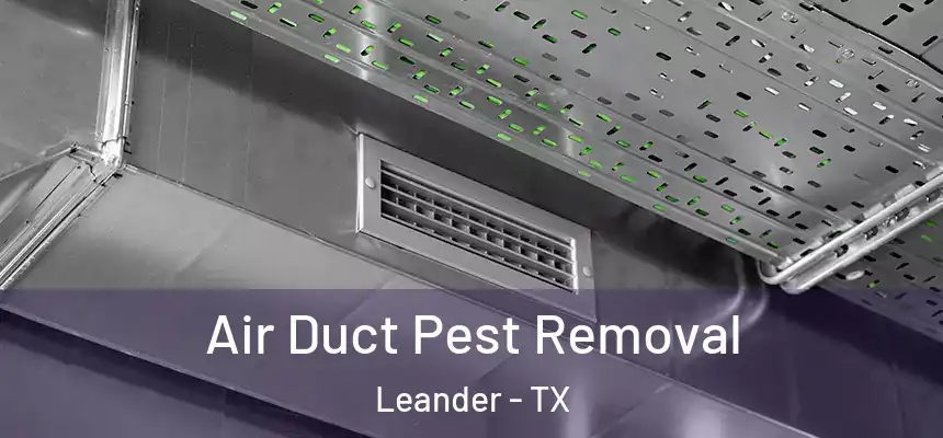 Air Duct Pest Removal Leander - TX