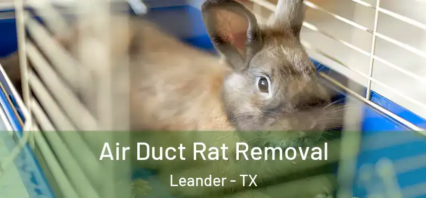  Air Duct Rat Removal Leander - TX