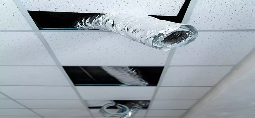 Affordable HVAC Sanitizing After Pest Removal in Leander