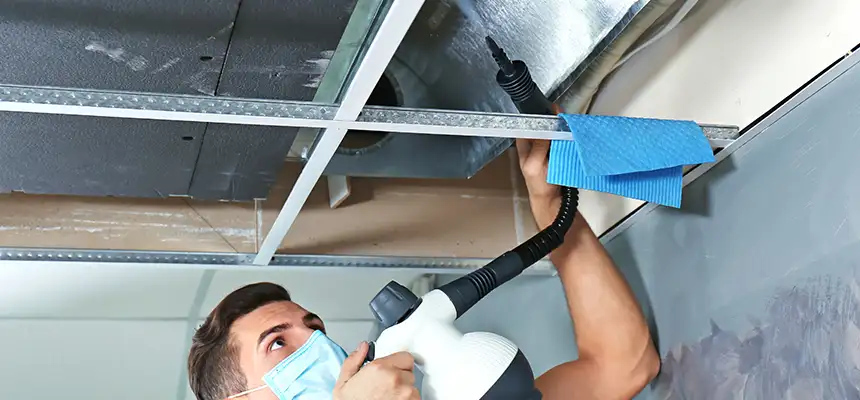 Our Air Duct Rodent Removal Services in Leander, TX