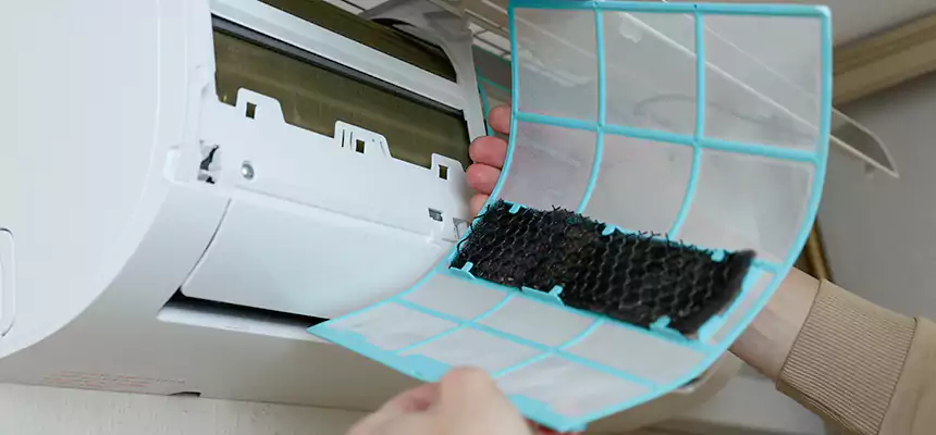 Gentle Ductwork Odor-Control Pet Dander Duct Cleaning in Leander, TX