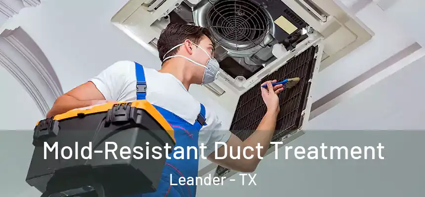 Mold-Resistant Duct Treatment Leander - TX