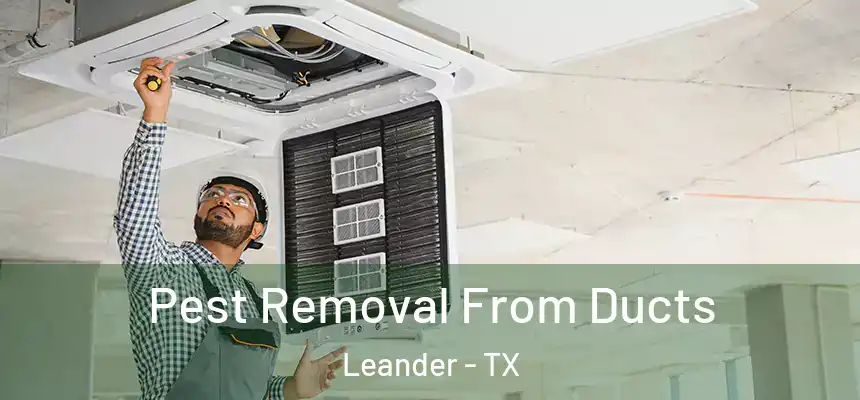  Pest Removal From Ducts Leander - TX