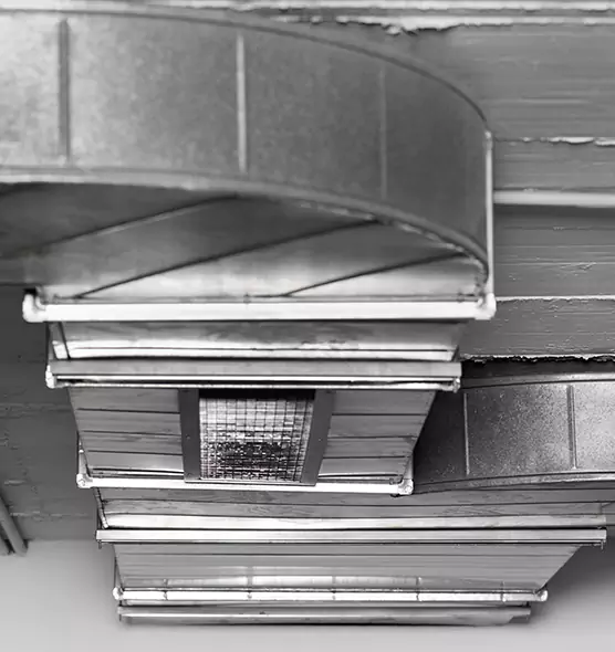 Professional Air Duct Pest Removal in Leander, TX