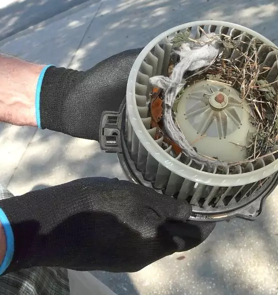 About Air Duct Rat Removal in Leander, TX