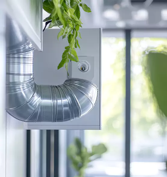 Professional Eco-Friendly Duct Cleaning Services in Leander, TX