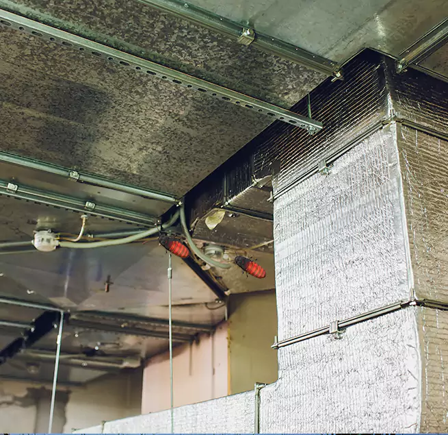 Why Homeowners & Businesses Trust Us in Leander, TX?