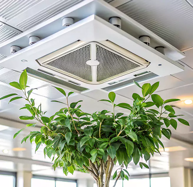 Why Homeowners & Businesses Trust Us in Leander, TX?